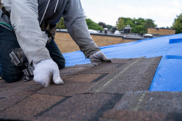 Best Commercial Roofing Services  in Libby, MT