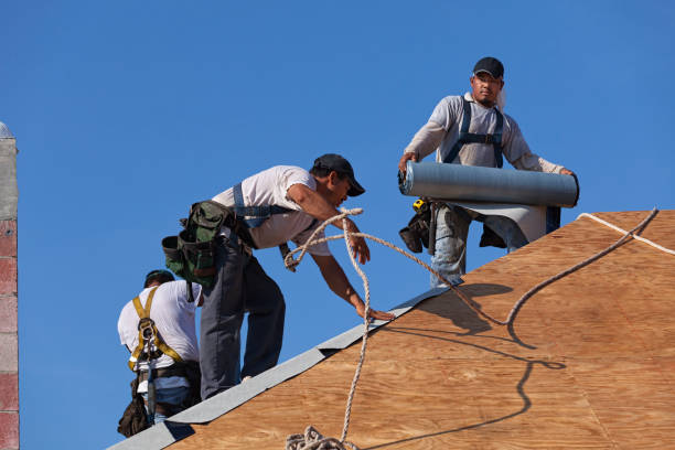 Best Local Roofing Companies  in Libby, MT
